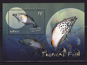 Невис, 2000, Рыбы, блок